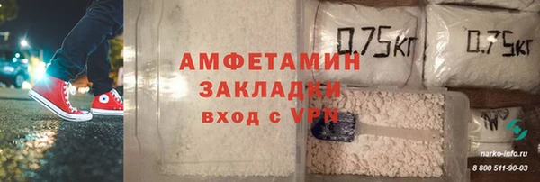 СК Алексин
