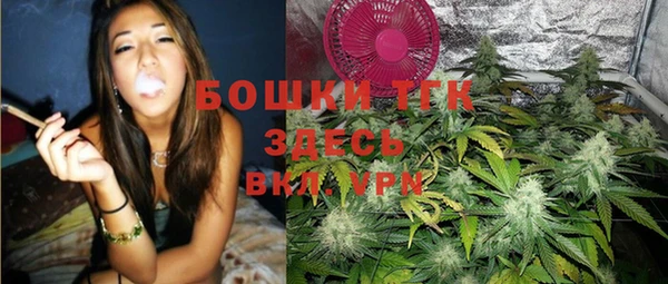 СК Алексин